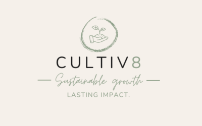 What healthy cultures actually feel like